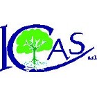 Icas