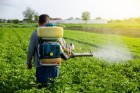 Pesticide - Insecticide 